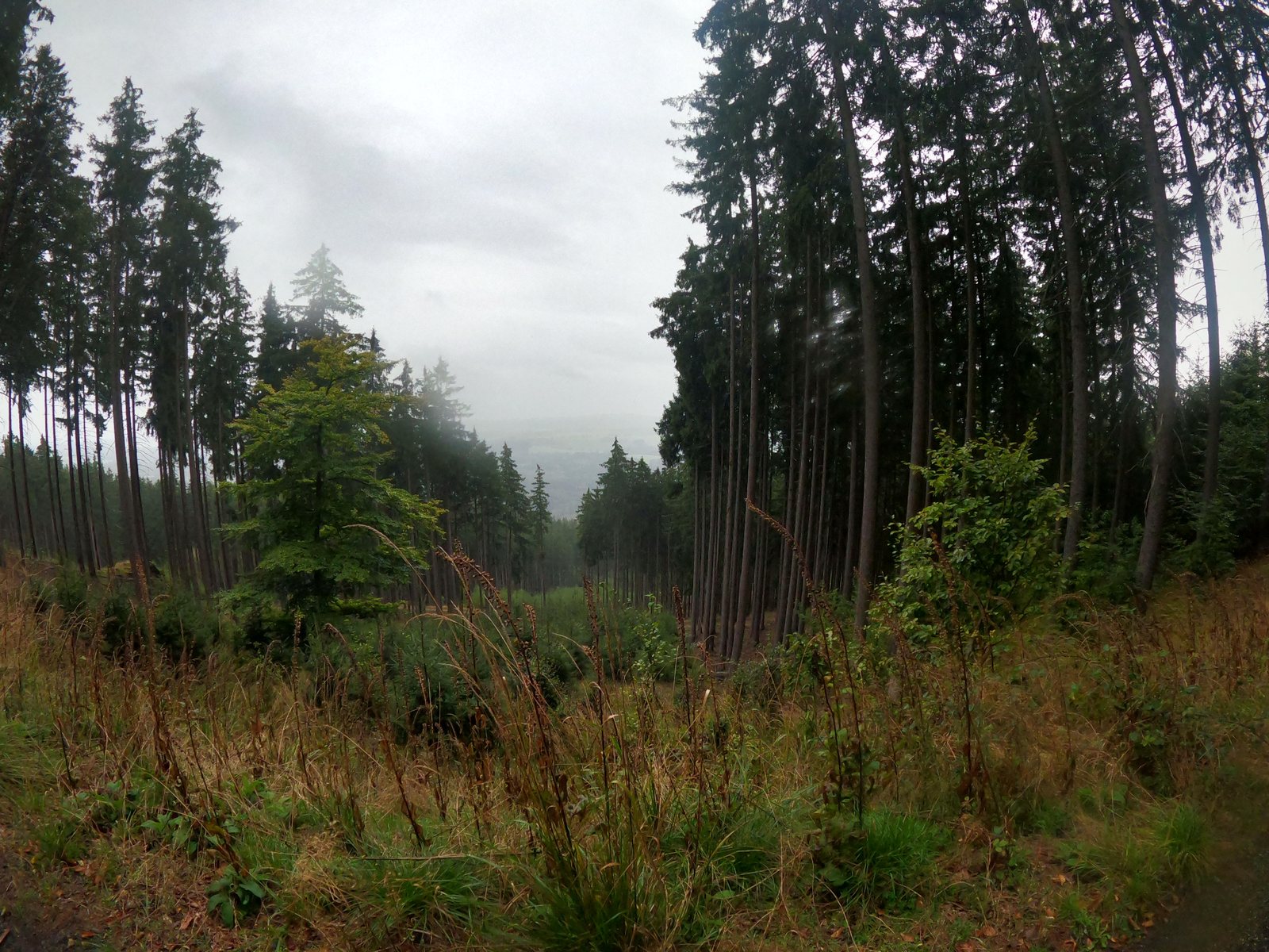 foto_4